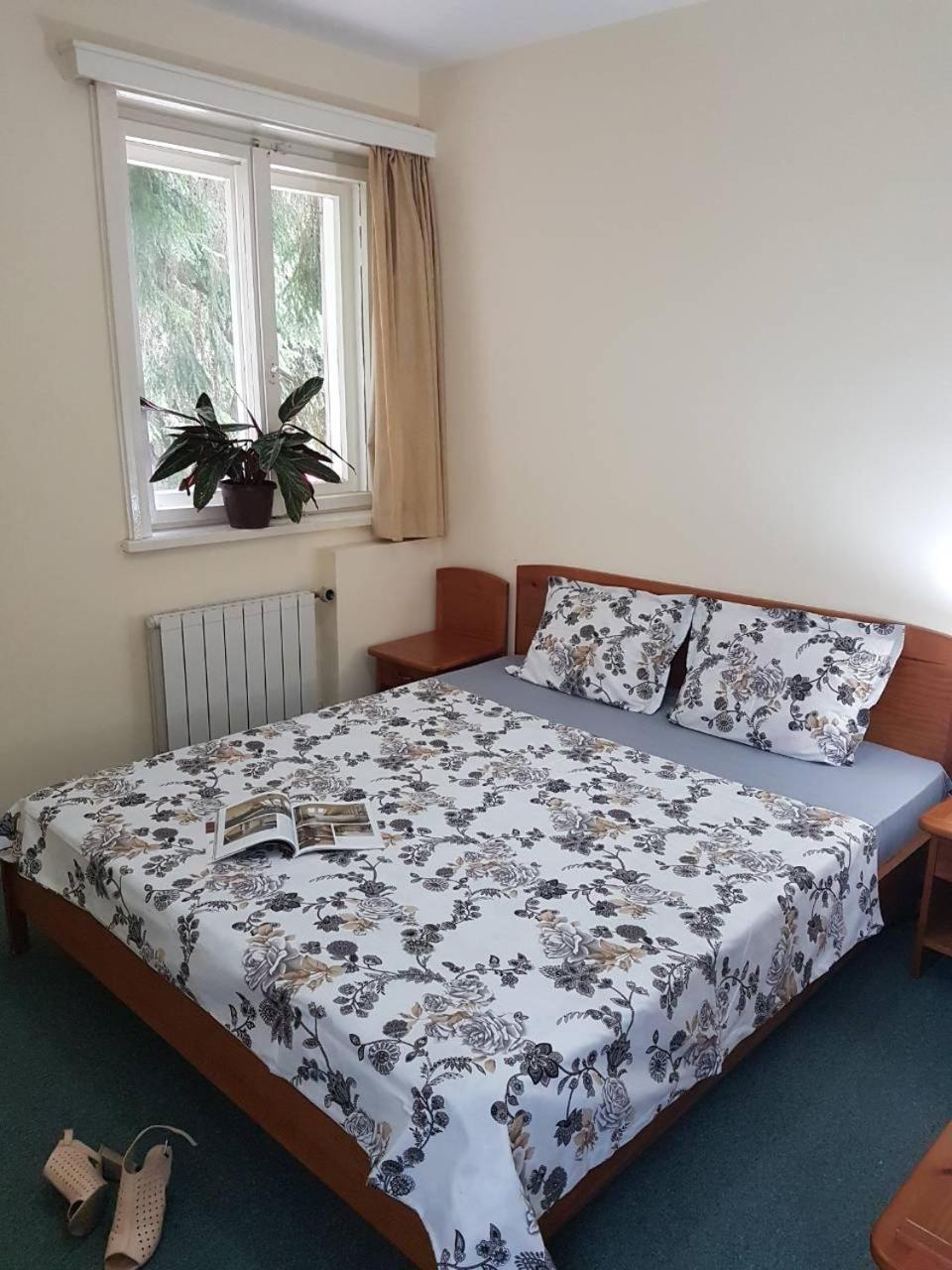Boeritza Hotel Complex Vladaja Kültér fotó