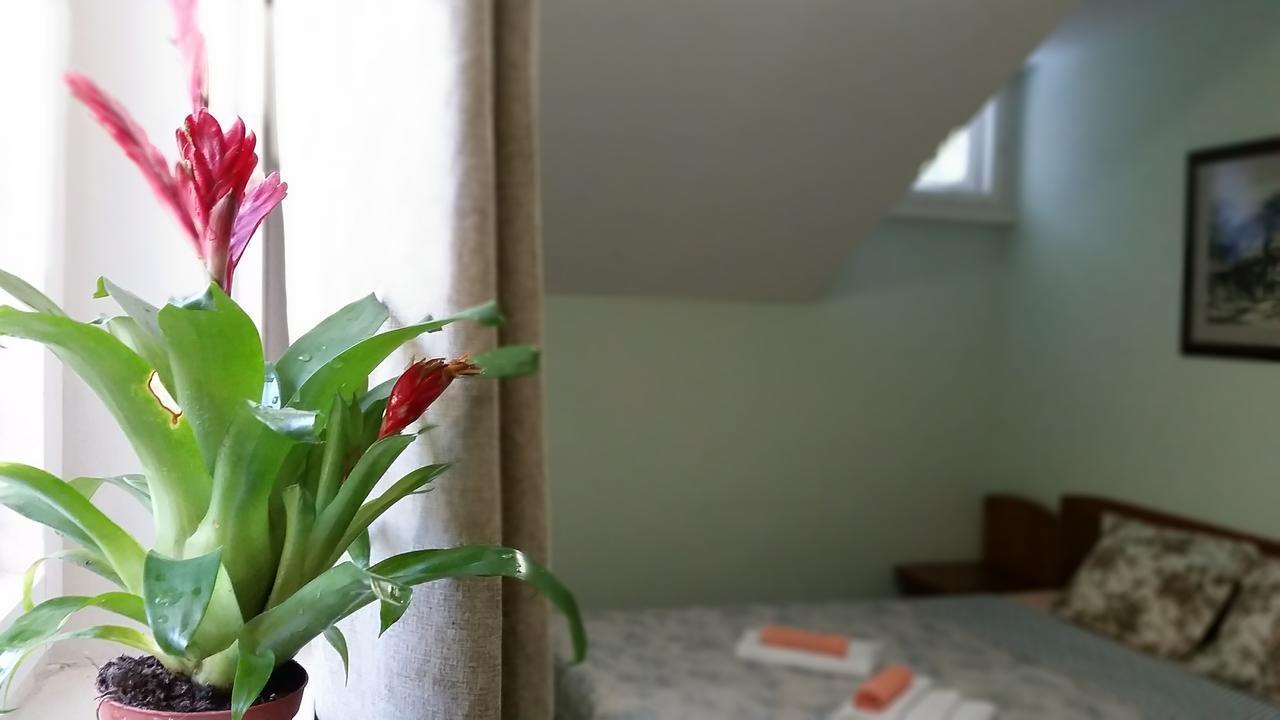 Boeritza Hotel Complex Vladaja Kültér fotó